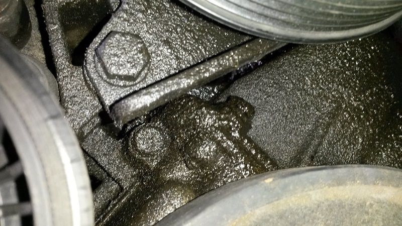 20170424_145656.jpg