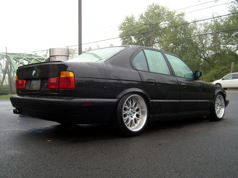 SL730359.jpg