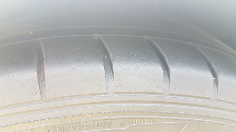 20170601_084806.jpg