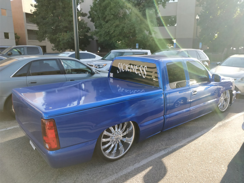 bruchoplaz.jpg