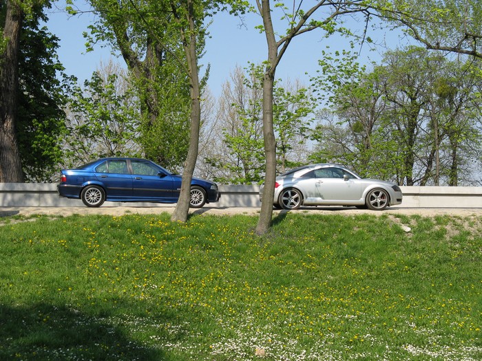 IMG_3379.JPG