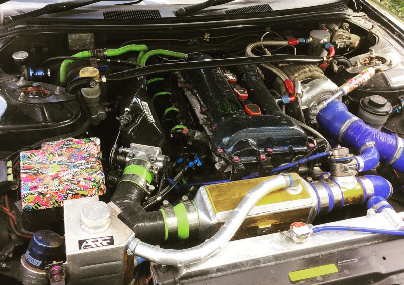 silvia.jpg