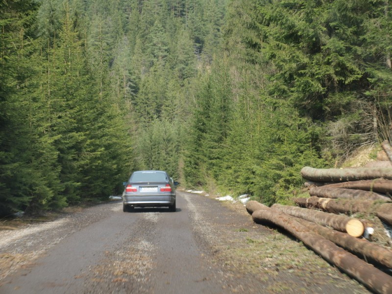 P4139353_resize.JPG