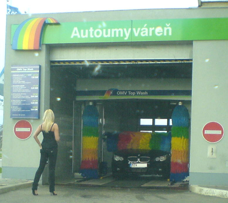 cicamicablondavica.jpg