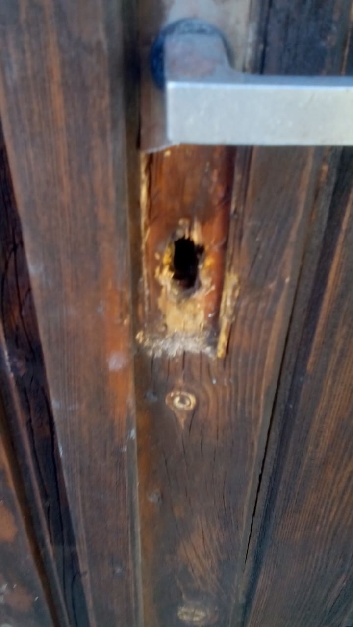 received_259060911412195.jpeg