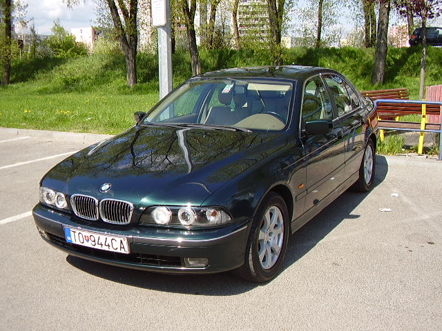 P3100026.JPG