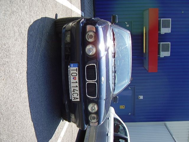 P3100031.JPG