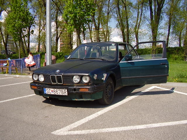 P3100034.JPG