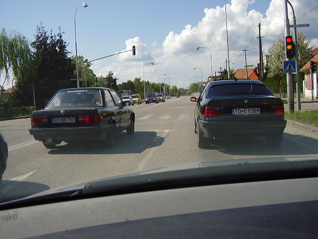 P3100037.JPG