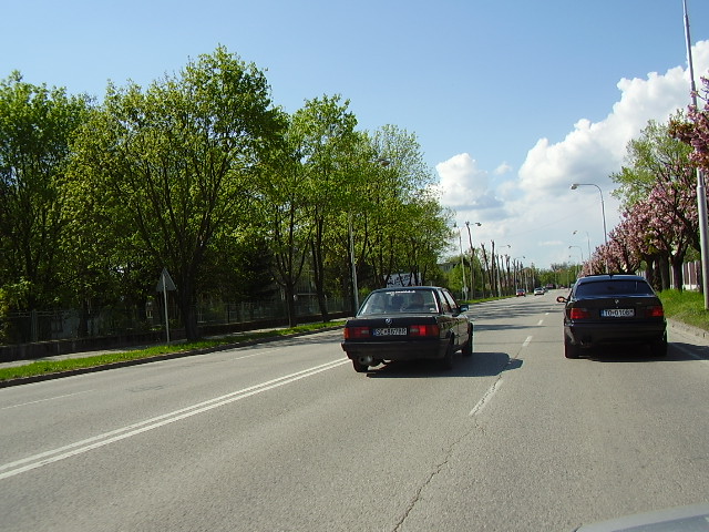 P3100038.JPG