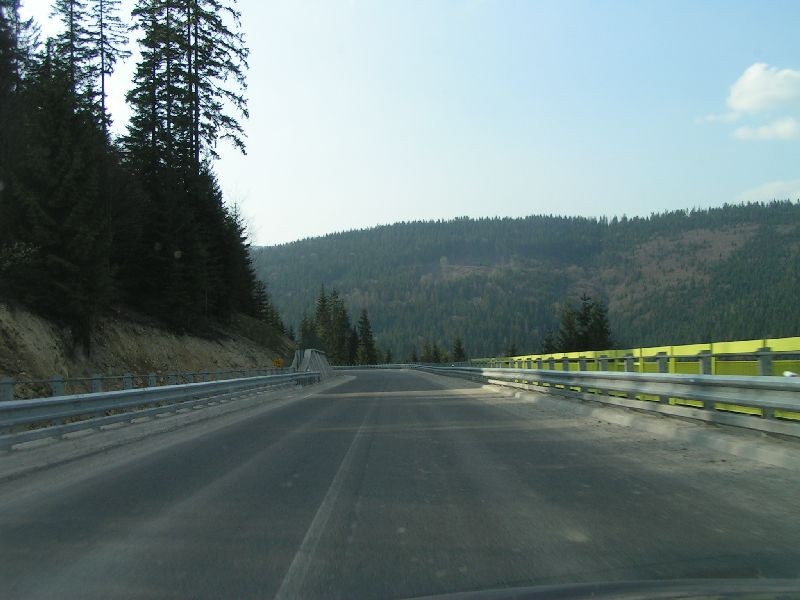 PICT7081.JPG