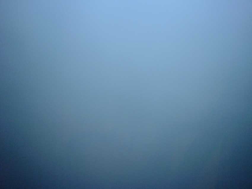 DSC08953.JPG