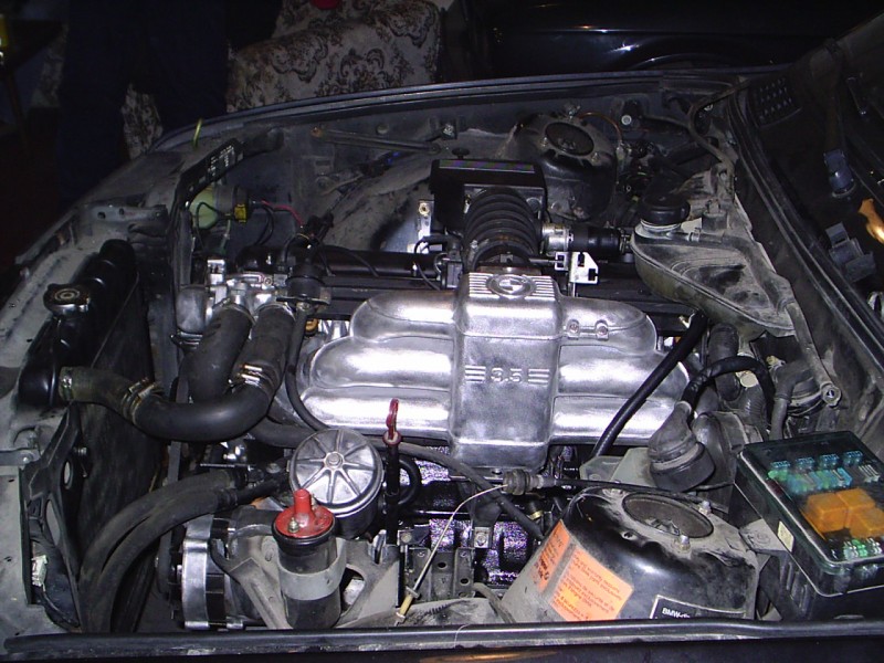 PIC_0070.JPG