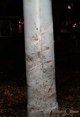 04.jpg