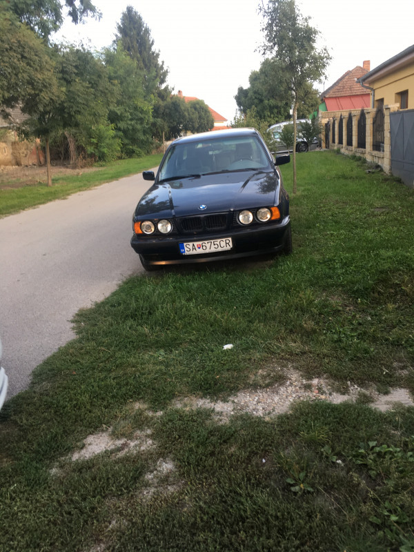 image1.jpeg