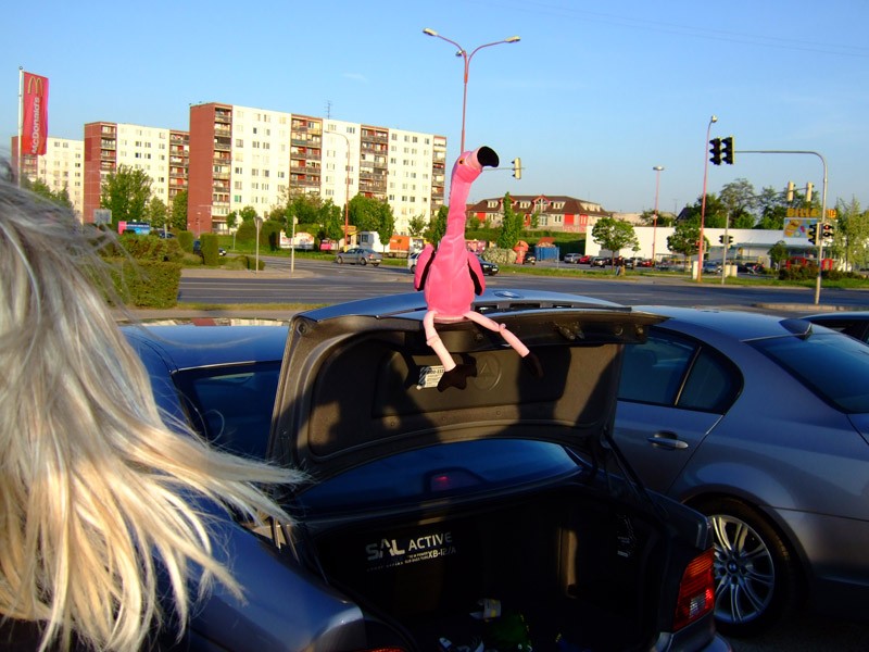 DSCF5546.JPG