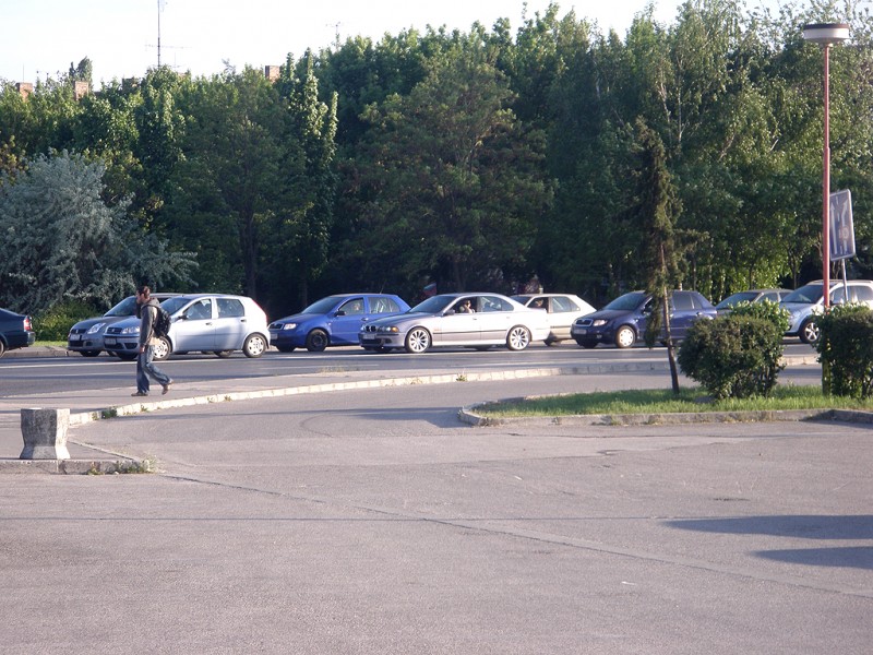 P5010028.JPG