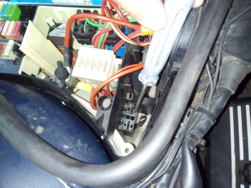IMG_20200817_173333[1].jpg