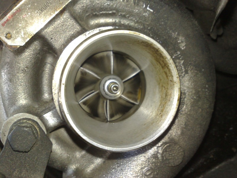 02052009206.jpg