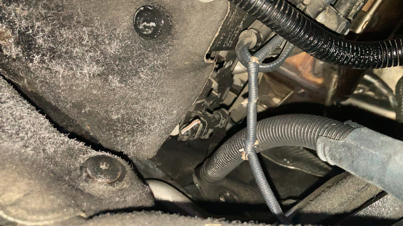 C0666D89-B671-4C6C-892C-6F3E2DF25B64.jpeg (2.71 MiB) 1453 zobrazení C0666D89-B671-4C6C-892C-6F3E2DF25B64.jpeg