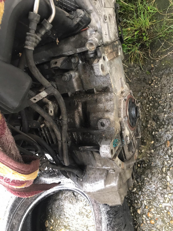 118180238_1214511555562070_7412011298991215839_o.jpg (309.87 KiB) 1049 zobrazení 118180238_1214511555562070_7412011298991215839_o.jpg