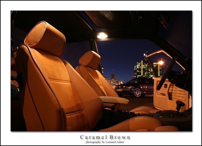 CaramelBrown.jpg