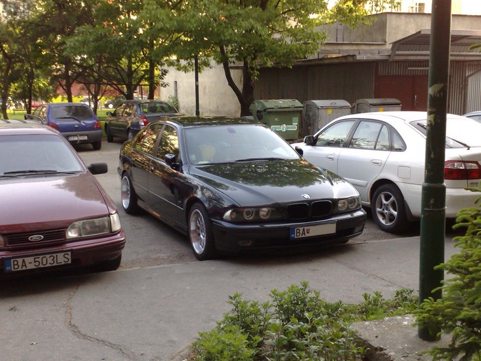 03052009411.jpg