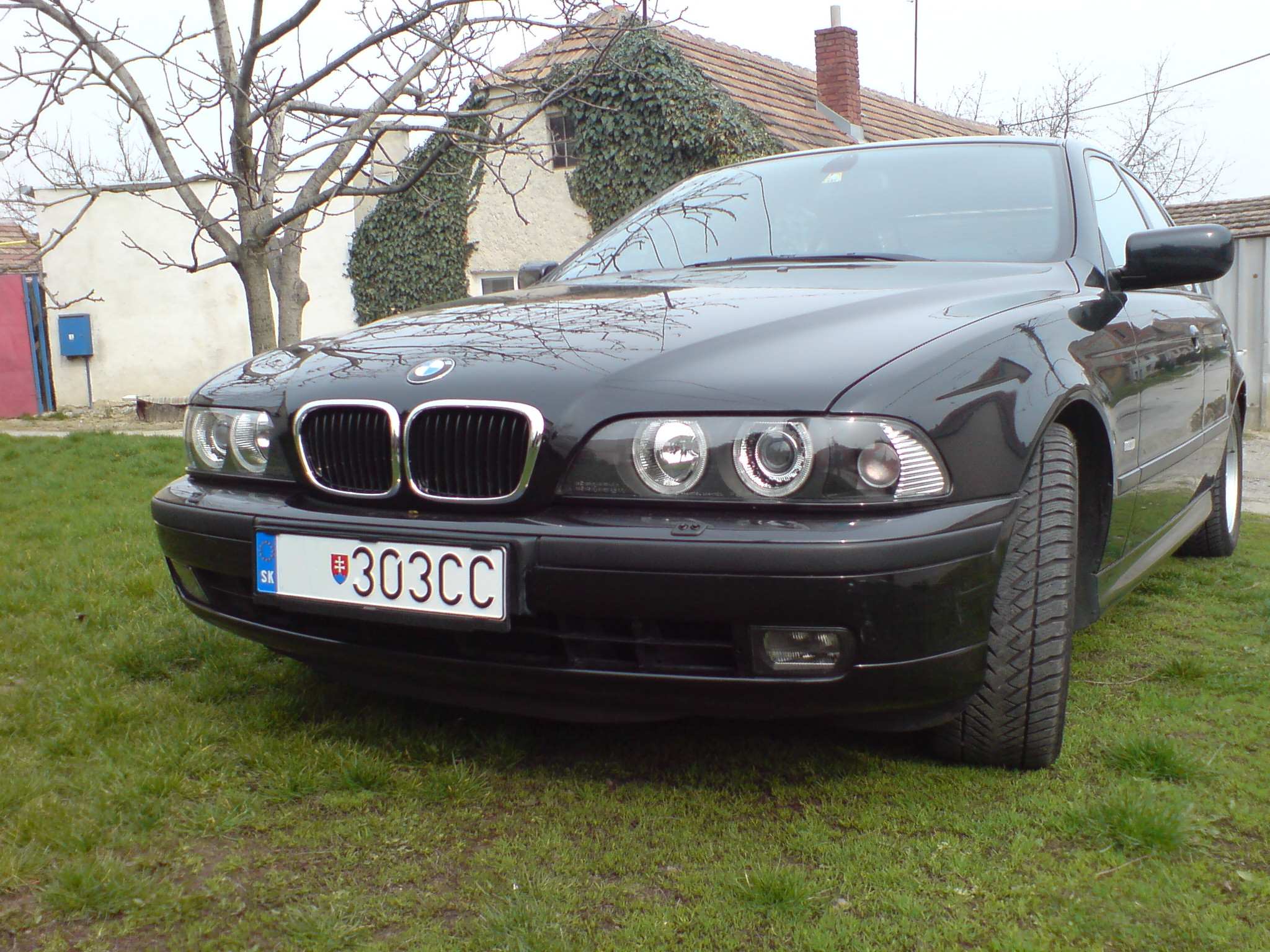BMW.jpg