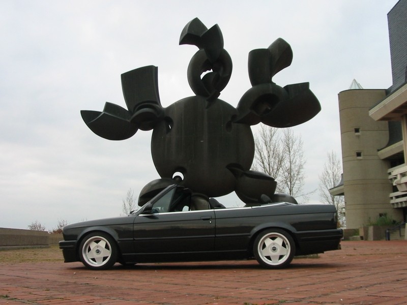 854203.jpg