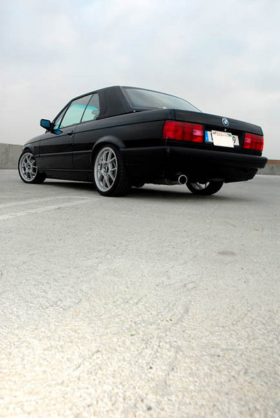 103367782-L.jpg