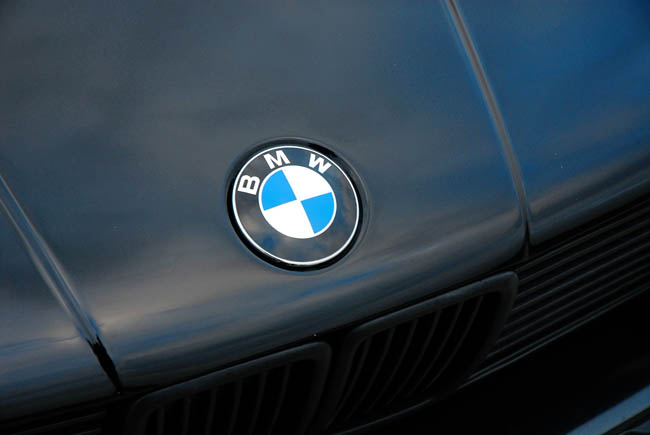 103367853-L.jpg