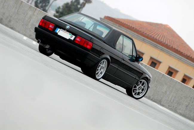 103367910-L.jpg