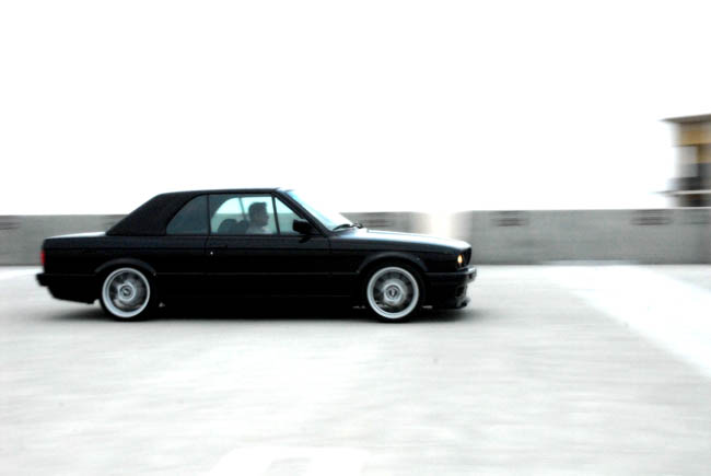 103368055-L.jpg