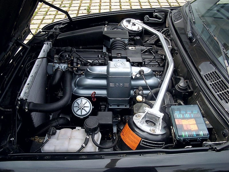 78545.jpg