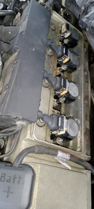 IMG_20231009_111153[1].jpg