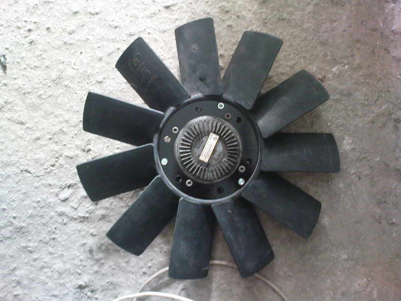 ABCD0009.JPG