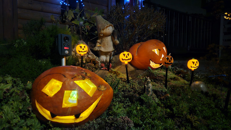 20251101_202326.jpg (2.5 MiB) 128 zobrazení 20251101_202326.jpg