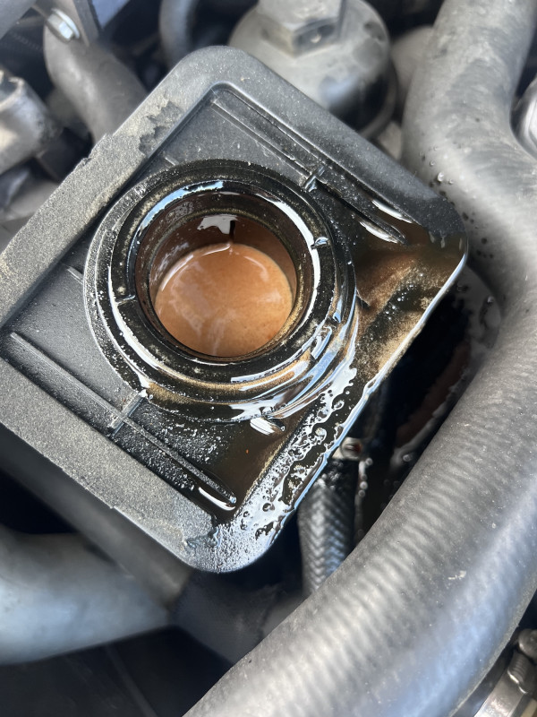 2026-01-07 11.32.03.jpg