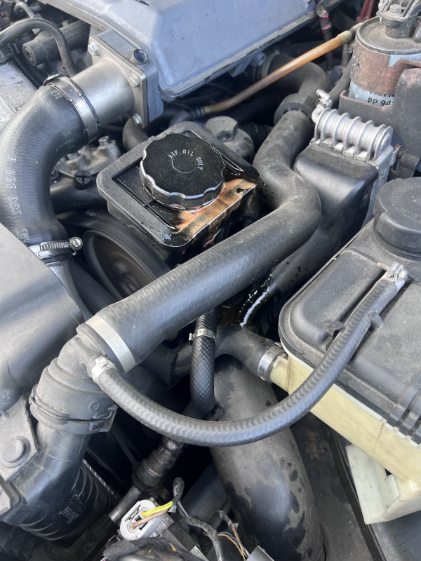 2026-01-07 11.29.30.jpg