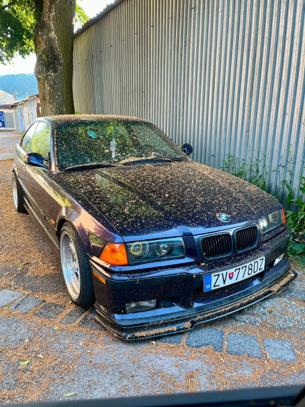 IMG_5301.jpeg