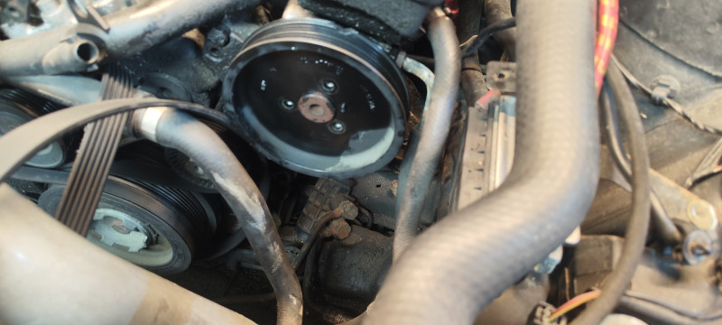 IMG_20250128_195605.jpg