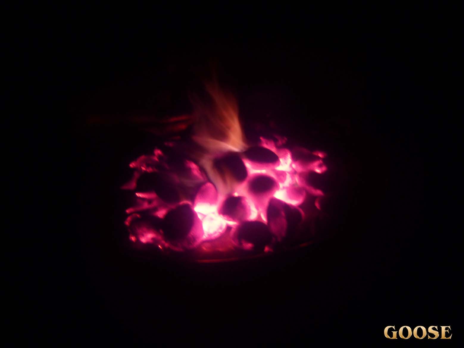 P5180090 copy.jpg