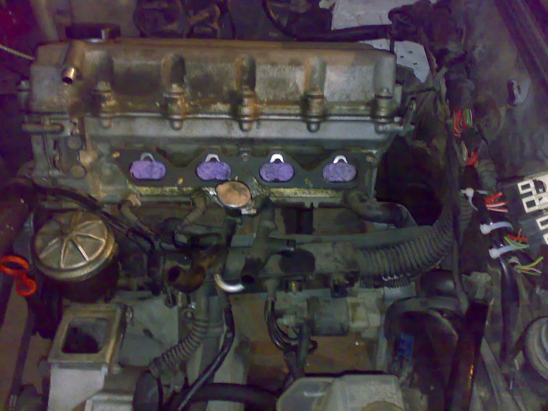 21052009789.jpg