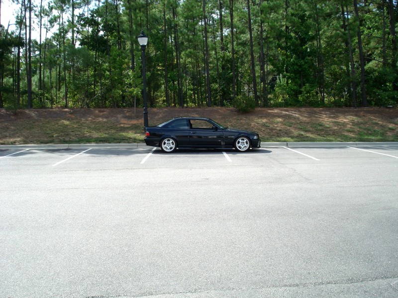 Picture3544.jpg
