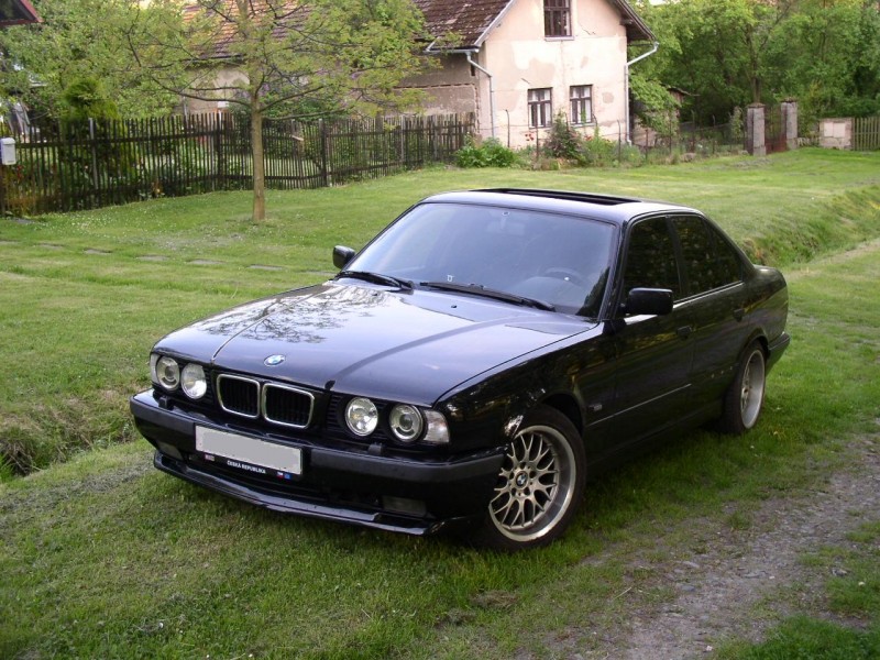 p1010021ql8.jpg