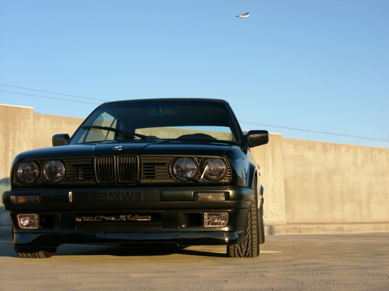222593989-XL.jpg