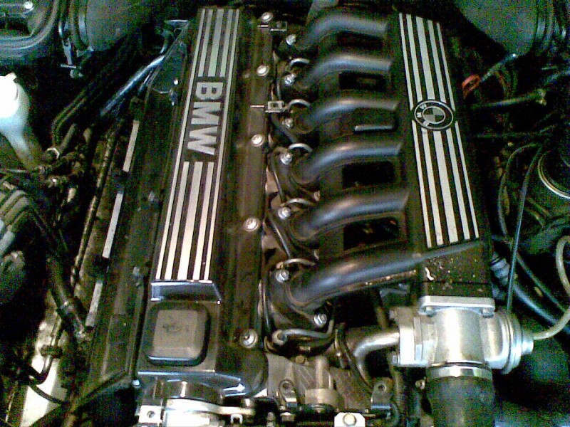19012008(005).jpg