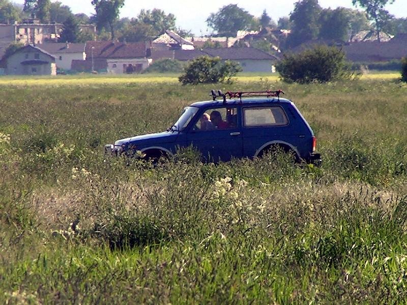PICT7538.JPG
