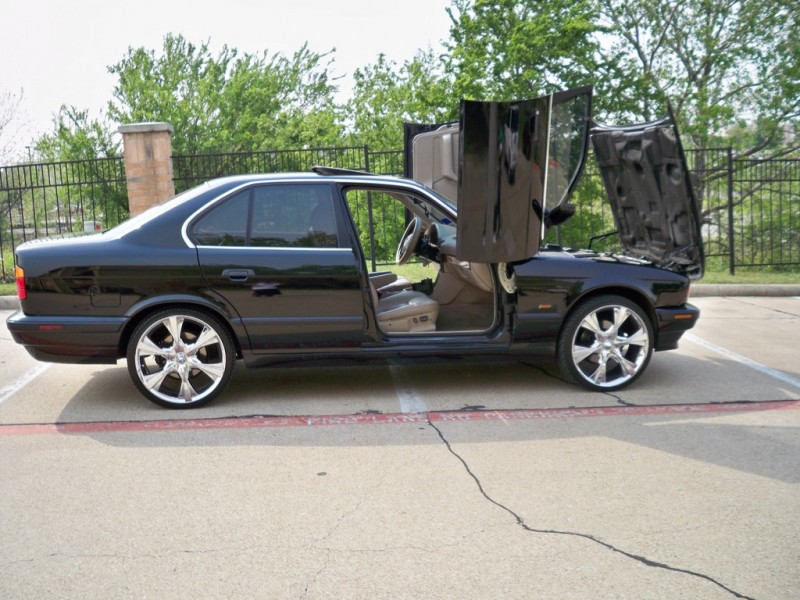 33142900006_large.jpg