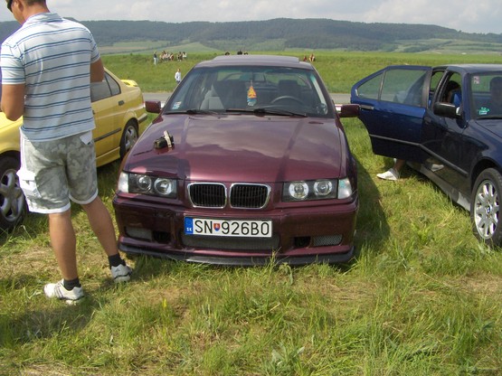 SN fialová.jpg